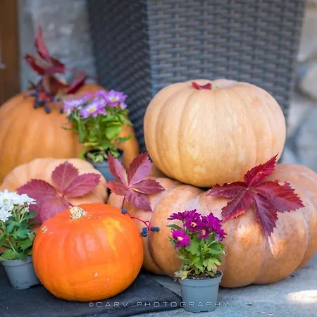 Casa de Férias Mountain Arachova