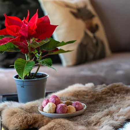 Casa de Férias Mountain *